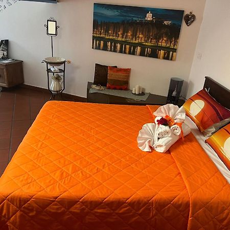 Historic Center Via Po Apartment تورينو المظهر الخارجي الصورة