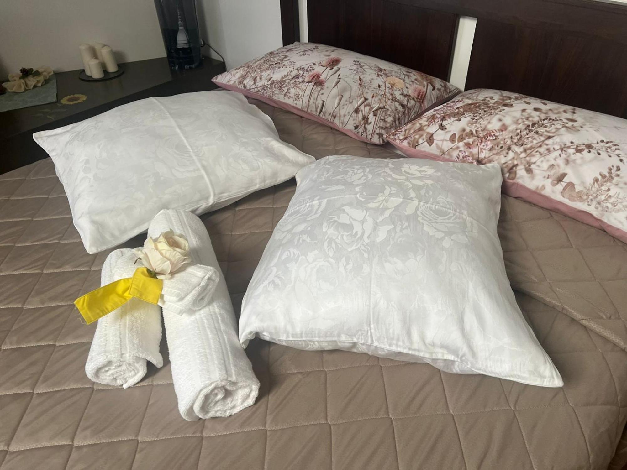Historic Center Via Po Apartment تورينو المظهر الخارجي الصورة